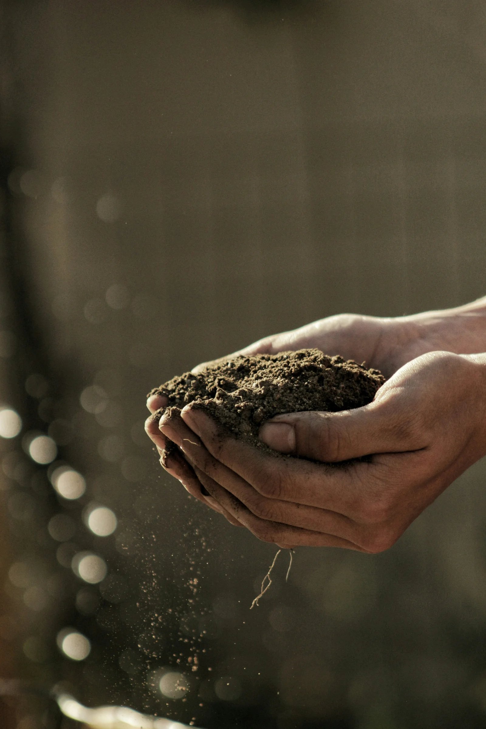 Sustainable Agriculture